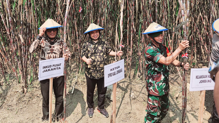 Panen Perdana Tebu 2025 di Jombang: Induk KUD Indonesia Dorong Model Kemitraan Gotong Royong untuk Swasembada Gula Nasional